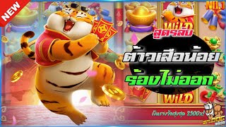 🎃SIAM66 Fortune Tiger : PG SLOT เสือโชคลาภ เกือบไม่รอด สล็อตค่าย PG💯