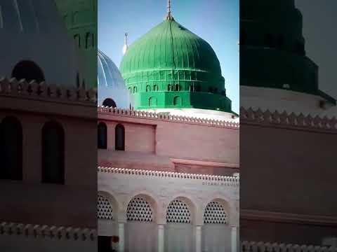 Jashn e Amad e Rasool - Farhan Ali Qadri #islam #freepalestine #shorts #youtubeshorts #shortvideo