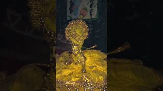 shree krishan govind #shorts #kartikmass #laddugopal #laddugopalstatus #bhakti #damodarmass #viral