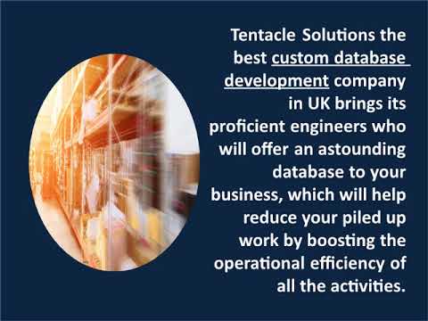 Specialized Custom database development