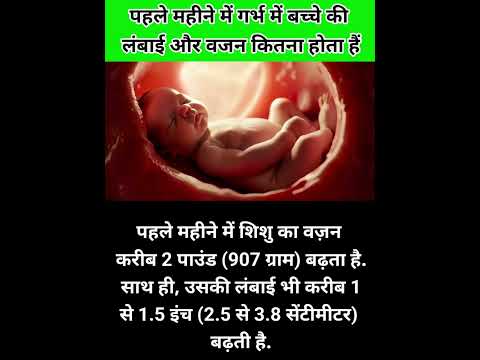 पहले महीने में गर्भ में बच्चे की लंबाई और वजन कितना होता हैं #pregnancytipsinhindi #viralvedio