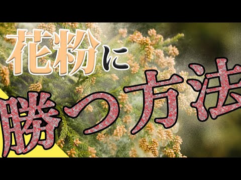 【打倒花粉症】この薬を味方に！花粉症攻略術！！