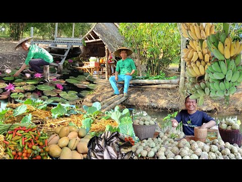 หวังรวยจากการทำไร่อ้อย!!สุดท้ายมีแต่หนี้👩‍🌾เปลี่ยนมาทำแบบนี้ชีวิตเลยดีขึ้น