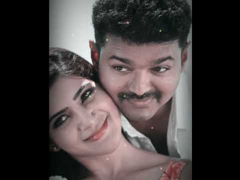 Vijay 💞 Samantha love status