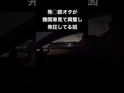 発達○害のある鉄オタが機関車を見て興奮し発狂してる図