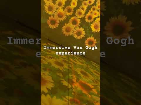 Art and what not🧐 #love #couple #toronto #vangogh #immersiveexperience #ytshorts