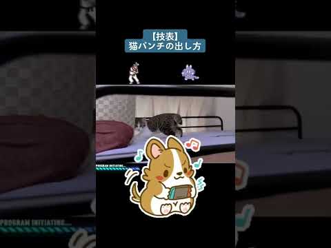 【技表】猫パンチの出し方