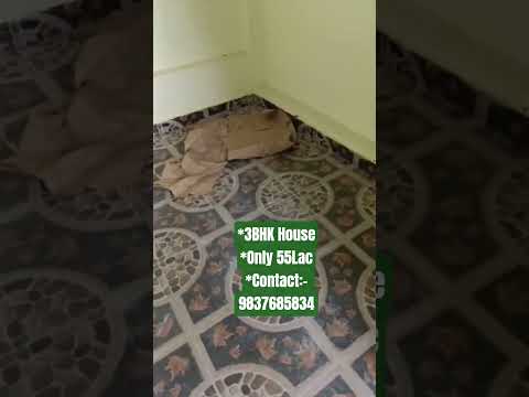 Contact us for House 9837685834