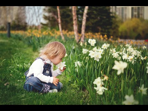 Diagnosing and Treating Pollen-Related Allergies in Children