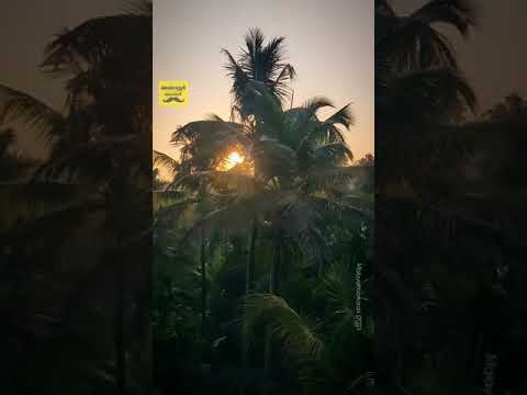 Rise and Shine #GoodMorning #Angamaly #Thuravoor