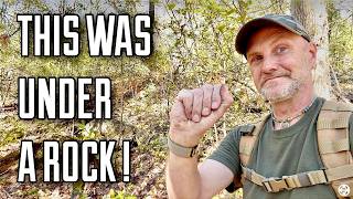 What was 8 inches deep under a rock ?  A great metal detecting find !
