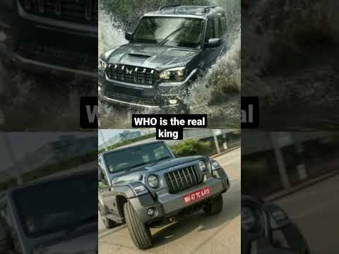 #thar #scorpio 👑👑