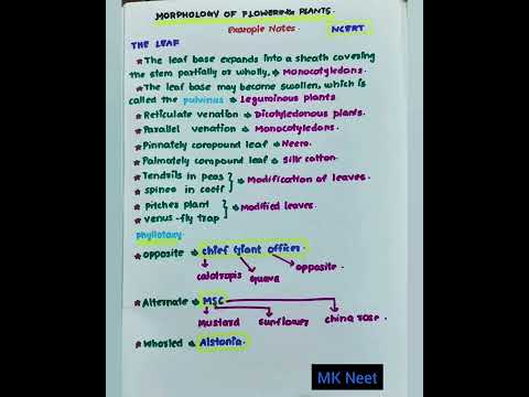 Morphology of flowering plants. Examples notes.Part_12.#mkneet #neet #neet2021 #neet2022 #neettricks