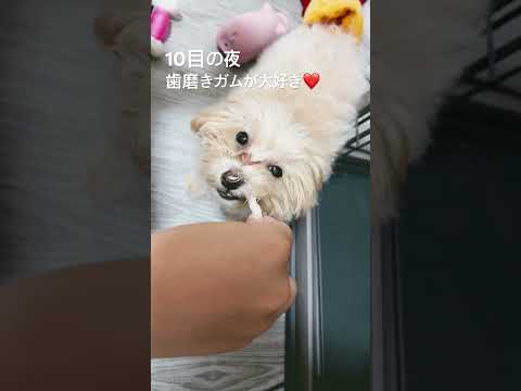 10日目　少し落ち着いて来た様な...