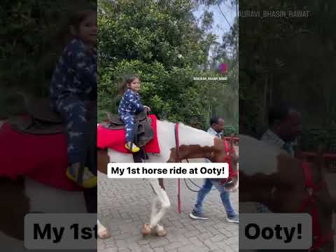 #horseriding #animallover #firsttime