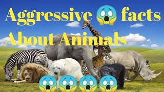 amazing facts about animals😱#shorts#youtubeshort#firstshortvideo#shortvideo#view#fact#viral#trending
