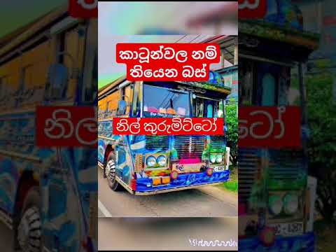 Cartoon වල නම් තියෙන බස් ටික. #NAVANJANA