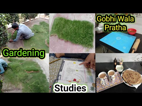 Gobhi Walaa Pratha  | Gardening | Kids Studies | My Daily Vlog