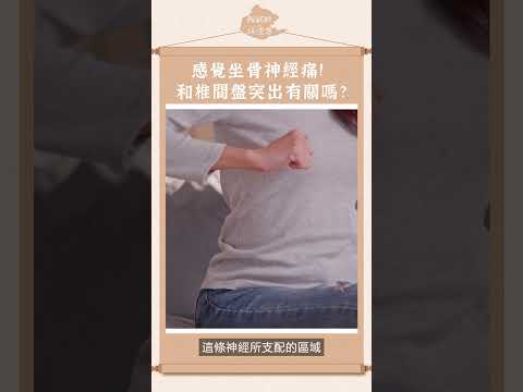 腰椎痛痛的？什麼是椎間盤突出？#中醫 #阿銘師 #阿銘師鍼還傳