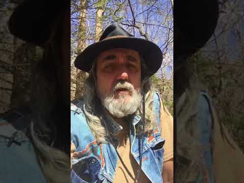 LL8 MINDFULNESS