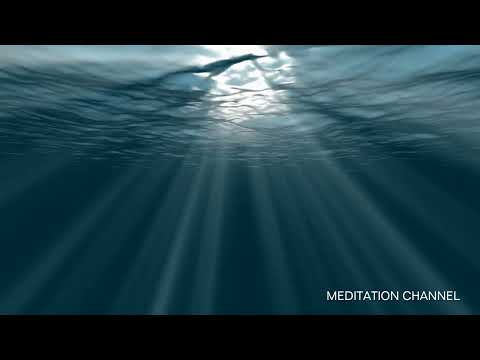 1 Hour of Soothing Sounds for Relaxation, Study, Sleep, and Focus | Peaceful Background Music
