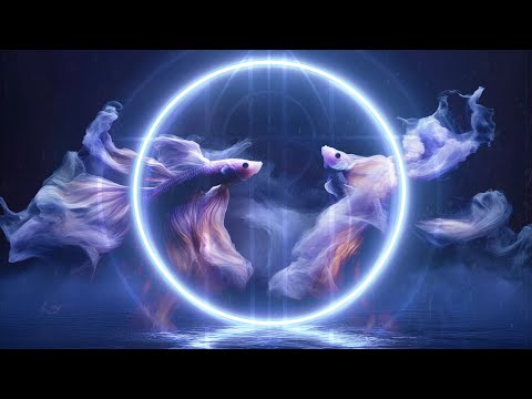 Pisces New Moon Ritual Frequency ♓︎ 210.42Hz | 852Hz | 963Hz Sound Bath