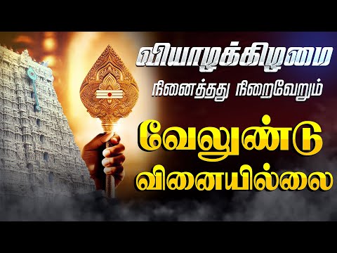 🔴LIVE SONG | திருச்செந்தூர் முருகன் கேட்க வேண்டிய வேலுண்டு வினையில்லை Murugan Song Velundu Vinaillai