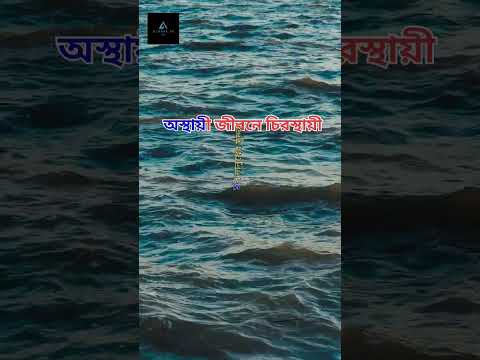 ছোট ছোট আশাগুলো নিয়েই বেঁচে থাকা #sorts #viral #sortvideo #bangla #quotes