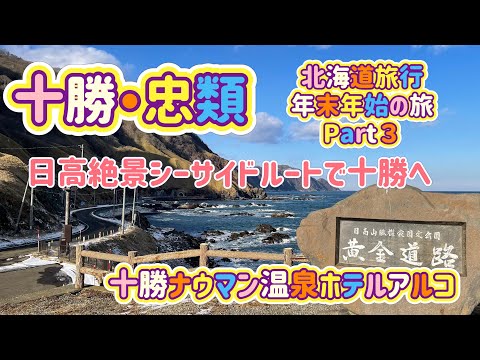 [北海道旅行]十勝・忠類 年末年始の旅Part３日高から絶景海ルートで襟裳岬へ　十勝ナウマン温泉ホテルアルコ