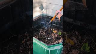 I Have A Composting Confession To Make... #compost #composting #compostingtips #sustainableliving
