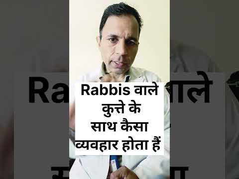 रेबीज वाले कुत्ते के साथ कैसा व्यवहार होता हैं #रेबीज #rabis#dogbites #behaviourwithdogafterrabis