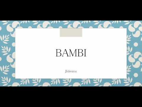 Bambi BV