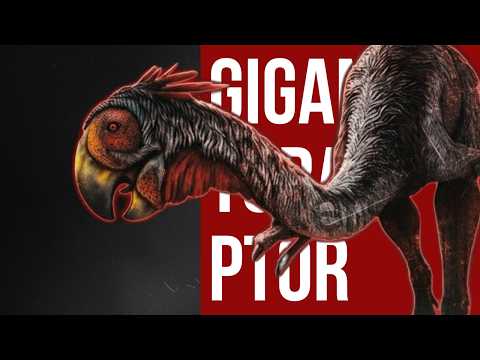The Only Bird-Like Dinosaur That Rivaled Elephants In Size | Gigantoraptor Documentary