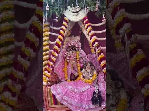 bihari ji charan darshan/ बिहारी जी चरण दर्शन #vrindavan_bhakti #shorts #shortsviral #shortsfeed