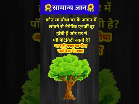 इस पौधे से घर में पॉजिटिव एनर्जी आती है // GK question // GK quiz // GK in Hindi / #shorts #gk
