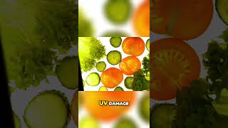 How Tomatoes Can Shield You from UV Damage #superfood #healthyskin