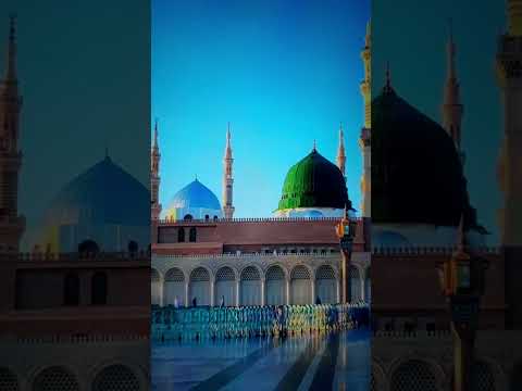Jashn e Amad e Rasool - Farhan Ali Qadri #islam #freepalestine #shorts #youtubeshorts #shortvideo