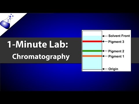 Chromatography