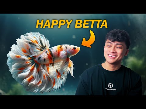 10 ENRICHMENT Tips to Make Your Betta Fish HAPPIER!