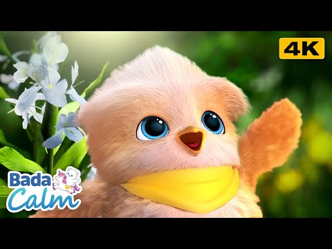[4K] Focus Meditation for Kids | Sonic Calm | Badanamu Calm