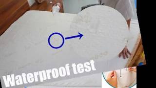 Waterproof Bed Bug Proof Mattress Encasement