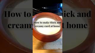 How to Make Thick & Creamy Homemade Curd #curdrecipe