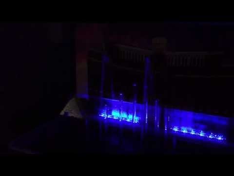 System D final project