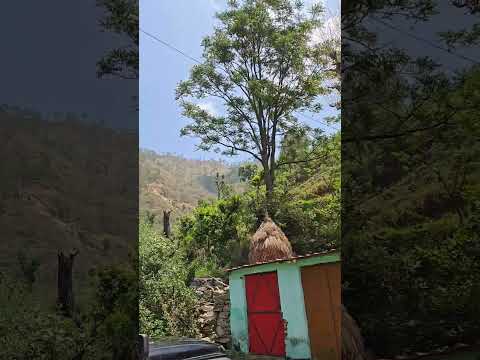 #paurigarhwaluttarakhand #mera#ga0n#enjoy#fullon