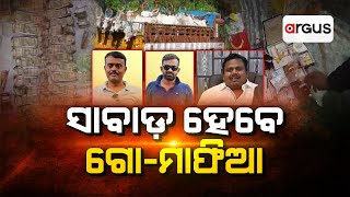 🔴Ajira Bitarka Live | ଆଜିର ବିତର୍କ :ସାବାଡ଼ ହେବେ ଗୋମାଫିଆ | Go Mafia Challan | Police Raid | Argus News