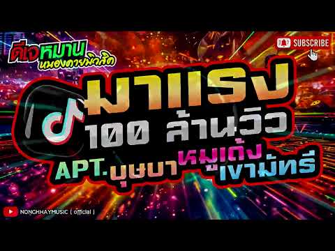 ♦️#มาแรงในtiktok♦️#apt #เบสเเน่นๆ #เขามัทรี  #บุษบา  #หมูเด้ง  #ใจสิเพ #แร็ฟเขมรหญิง #party2025