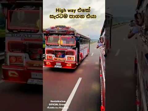 High Way එකේ සැරටම පාගන එයා.😀 Bus Modified #satisfying  #trending