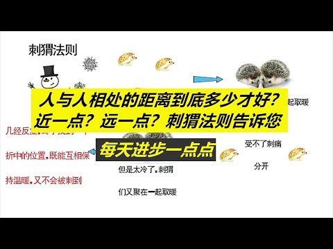 每天进步一点点——人之与人的距离到底多少才好？刺猬法则告诉您