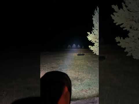 DeWalt DCL043 spotlight test #dewalt