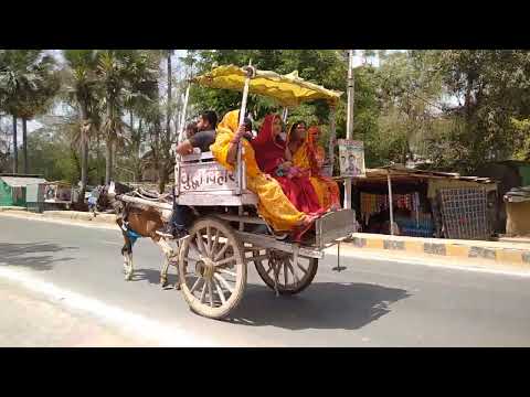 BEAUTIFUL CARRIAGE